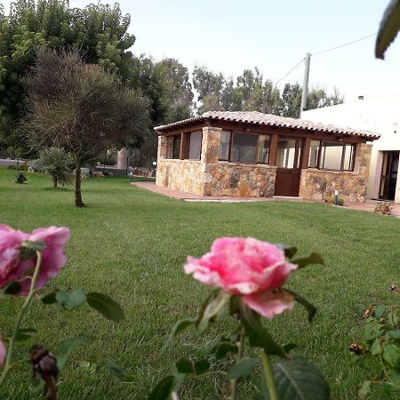 Agriturismo Quattro Mori Porto Torres Exteriör bild