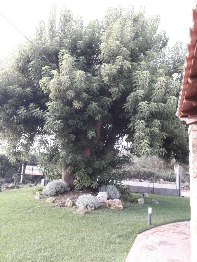 Agriturismo Quattro Mori Porto Torres Exteriör bild